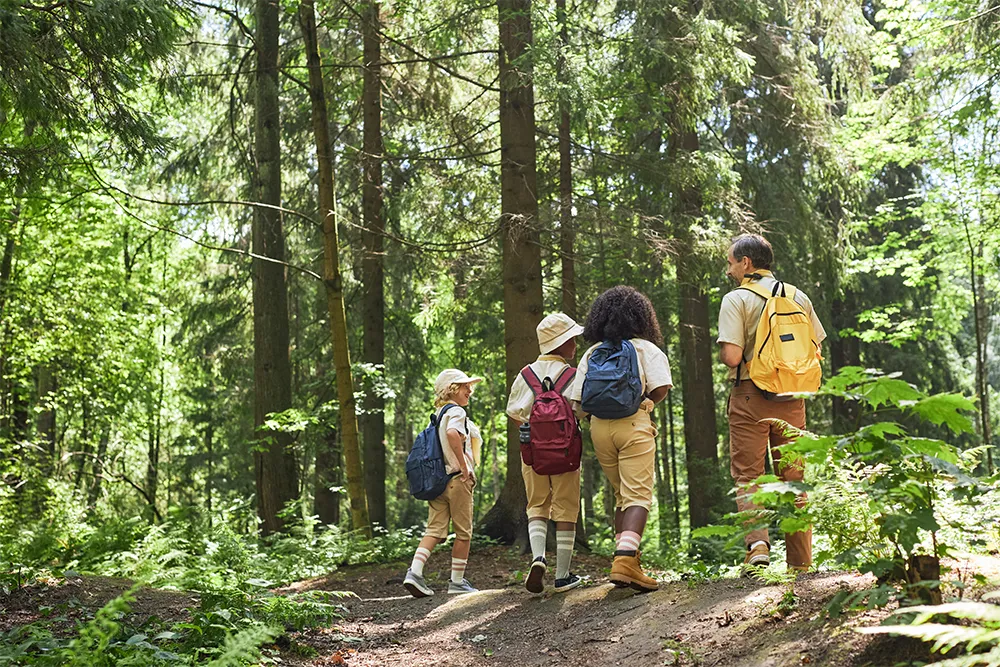 Línea de tiempo - 2026 Bosque escolar en el Gimnasio La Montaña — Historia y campus